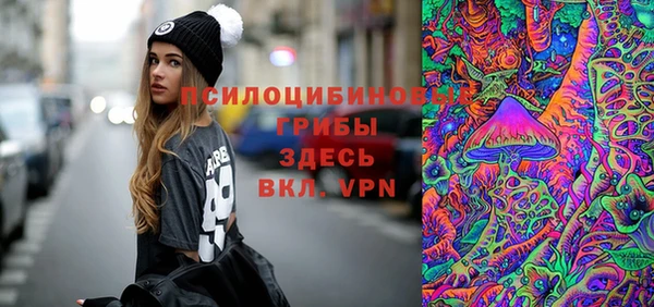 круглые Абаза