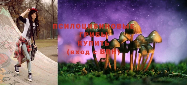 тгк Абинск