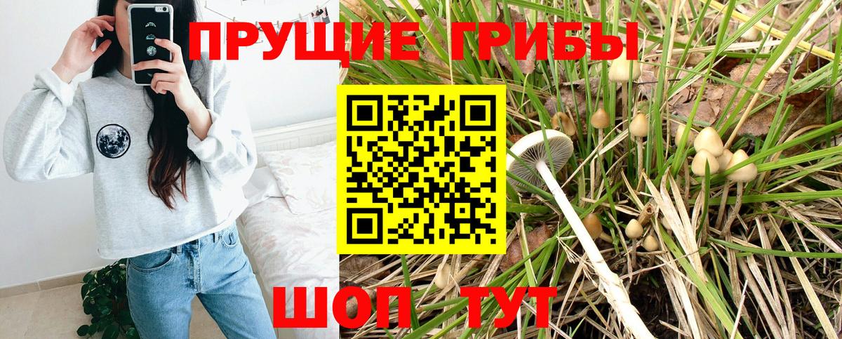 Псилоцибиновые грибы мицелий  Псилоцибиновые грибы ЛСД  Электросталь  Вход с VPN 